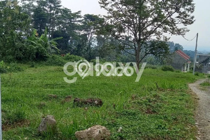 Tanah Dijual Lokasi Trawas, Mojokerto dengan Luas Tanah 387m2 dan Status SHM Tanah Dijual Lokasi Trawas, Mojokerto dengan Luas Tanah 387m2 dan Status SHM