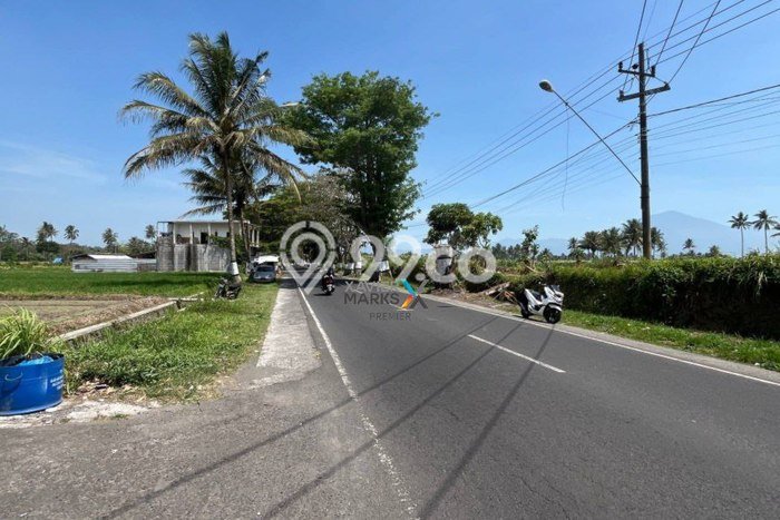 Tanah Kavling di Pakis Dijual dengan Luas 6738m2 Tanah Kavling di Pakis Dijual dengan Luas 6738m2