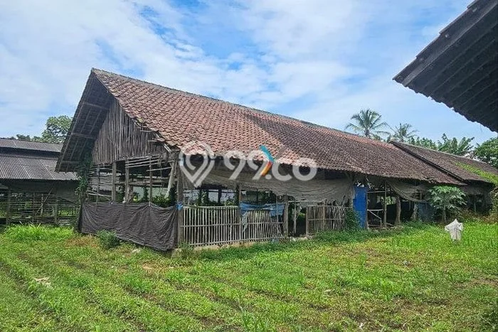 Dijual Tanah di Wajak Malang Luas 4640m2 SHM Dijual Tanah di Wajak Malang Luas 4640m2 SHM