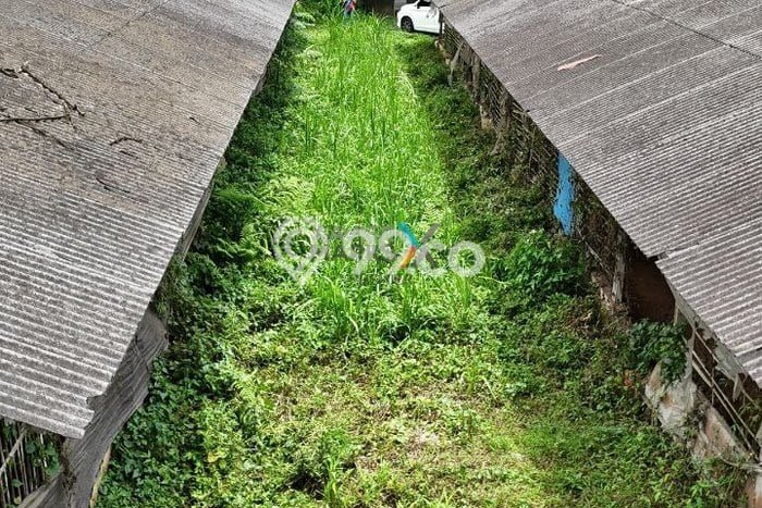 Dijual Tanah di Wajak Malang Luas 4640m2 SHM Dijual Tanah di Wajak Malang Luas 4640m2 SHM