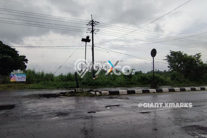 Lahan untuk Dijual Lokasi Trowulan, Mojokerto Luas 14699m2 SHM Lahan untuk Dijual Lokasi Trowulan, Mojokerto Luas 14699m2 SHM