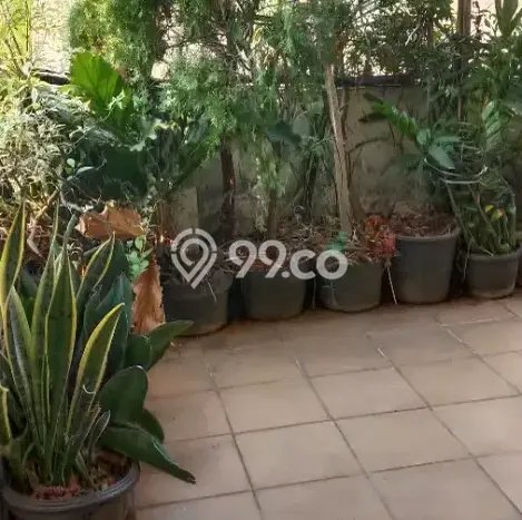 Kost di Johar Baru Jakarta Pusat Siap Huni Full Furnished Kost di Johar Baru Jakarta Pusat Siap Huni Full Furnished