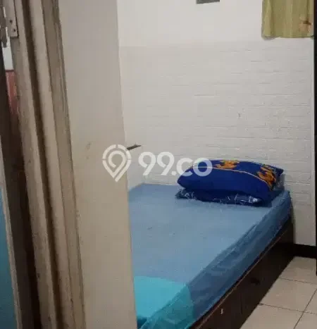 Disewakan Kost di Area Favorit Jagakarsa Bisa Survei Dulu Disewakan Kost di Area Favorit Jagakarsa Bisa Survei Dulu
