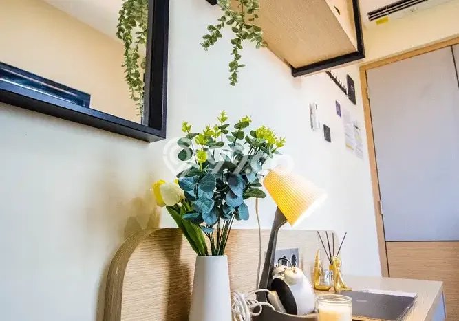 Kost Siap Disewa di Tamansari Jakarta Barat Bisa Langsung Huni Kost Siap Disewa di Tamansari Jakarta Barat Bisa Langsung Huni