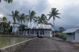 Dijual Komersial di Cimanuk, Pandeglang Harga Penawaran Spesial Dijual Komersial di Cimanuk, Pandeglang Harga Penawaran Spesial