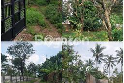 Tanah untuk Dijual Lokasi Kaduhejo, Pandeglang Luas 6815m2 SHM Tanah untuk Dijual Lokasi Kaduhejo, Pandeglang Luas 6815m2 SHM