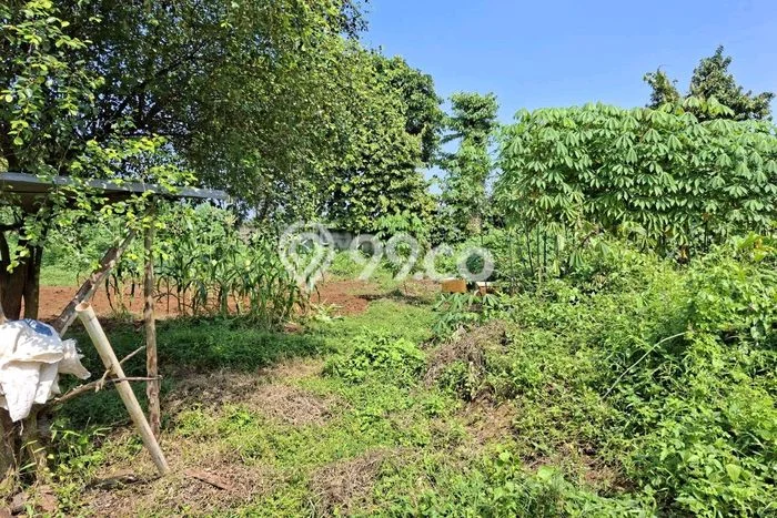 Lahan Strategis di Panongan Tangerang Disewakan dengan Luas 1000m2 Lahan Strategis di Panongan Tangerang Disewakan dengan Luas 1000m2