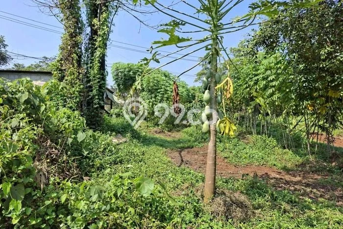 Lahan Strategis di Panongan Tangerang Disewakan dengan Luas 1000m2 Lahan Strategis di Panongan Tangerang Disewakan dengan Luas 1000m2