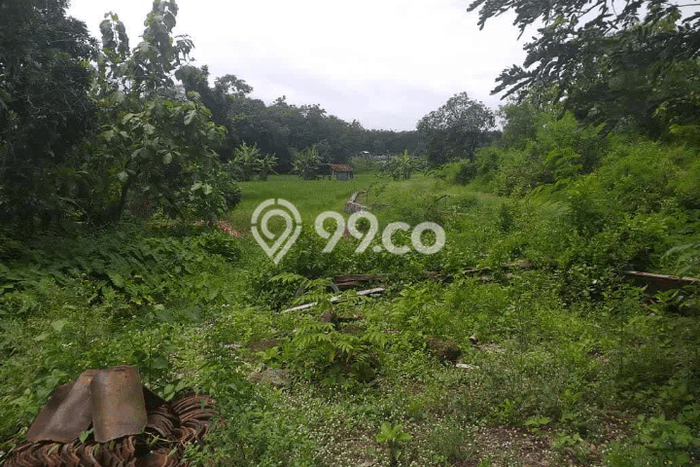 Tanah Lokasi Potensial Kawasan Boyolali Kota, Luas 4275m², Dekat ke Fasilitas Umum Tanah Lokasi Potensial Kawasan Boyolali Kota, Luas 4275m², Dekat ke Fasilitas Umum