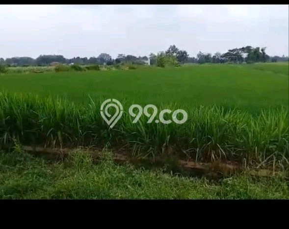 Tanah Dijual Lokasi Teras, Boyolali dengan Luas Tanah 2735m2 dan Status SHM Tanah Dijual Lokasi Teras, Boyolali dengan Luas Tanah 2735m2 dan Status SHM