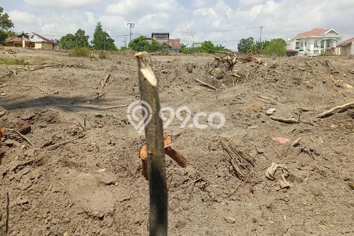 Lahan Strategis di Tambang Dijual dengan Luas 220m2 Lahan Strategis di Tambang Dijual dengan Luas 220m2