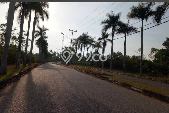 Tanah di Rumbai Pesisir, Pekanbaru Luas 22000m2 Dijual Segera Tanah di Rumbai Pesisir, Pekanbaru Luas 22000m2 Dijual Segera