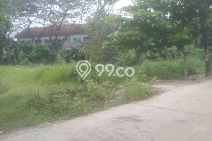 Tanah Kosong Dijual di Karawang dengan Area 50000m2 Tanah Kosong Dijual di Karawang dengan Area 50000m2