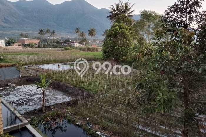 Tanah Lokasi Potensial Kawasan Tarogong Kaler, Luas 10000m2m², Dekat ke Pusat Kota, Akses Tarogong Kaler, Garut, Garut Tanah Lokasi Potensial Kawasan Tarogong Kaler, Luas 10000m2m², Dekat ke Pusat Kota, Akses Tarogong Kaler, Garut, Garut