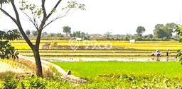 Tanah di Cileunyi, Bandung Luas 12390m2 Dijual Segera Tanah di Cileunyi, Bandung Luas 12390m2 Dijual Segera