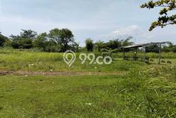 Tanah di Ciseeng, Luas 24000m², Siap untuk Sewa Tanah di Ciseeng, Luas 24000m², Siap untuk Sewa