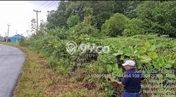 Jarang Ada! Tanah di Riau Ale Punya Luas 15000m2 SHM Jarang Ada! Tanah di Riau Ale Punya Luas 15000m2 SHM