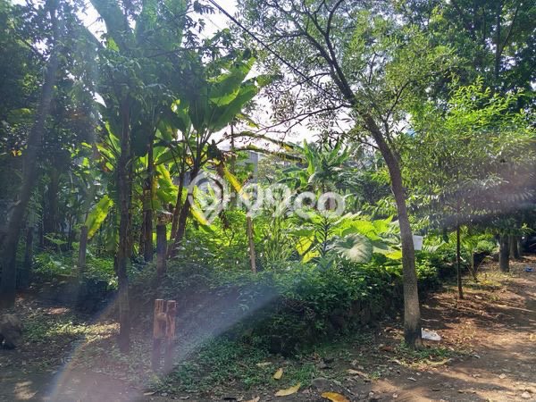 Untuk Dijual Tanah di Depok, Luas 500m2 SHM Untuk Dijual Tanah di Depok, Luas 500m2 SHM