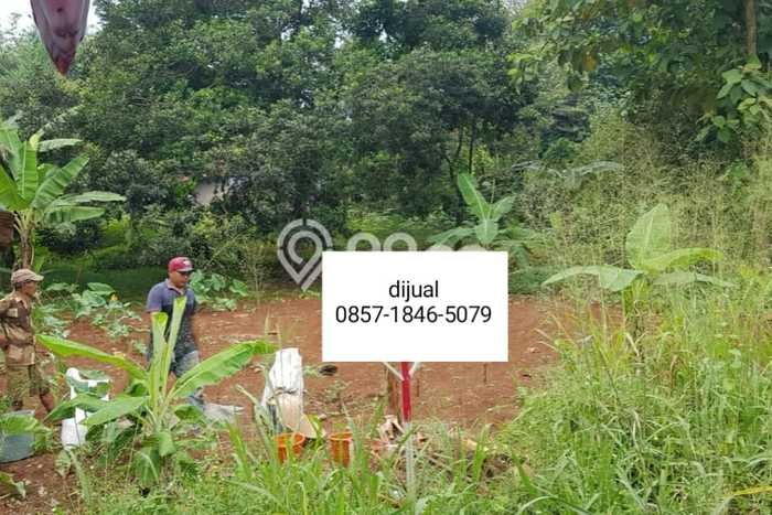 Tanah Dijual Lokasi Tajur Halang, Bogor dengan Luas Tanah 3000m2 dan Status SHM Tanah Dijual Lokasi Tajur Halang, Bogor dengan Luas Tanah 3000m2 dan Status SHM