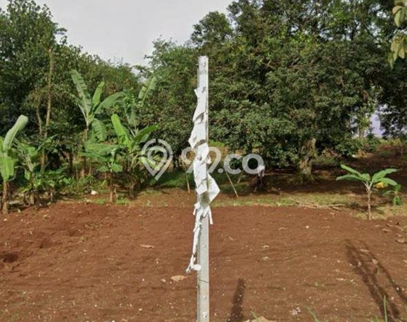 Tanah Dijual Lokasi Tajur Halang, Bogor dengan Luas Tanah 3000m2 dan Status SHM Tanah Dijual Lokasi Tajur Halang, Bogor dengan Luas Tanah 3000m2 dan Status SHM