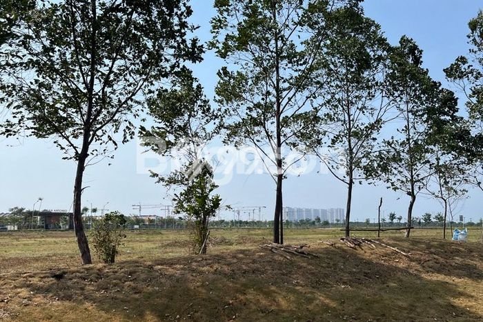 Tanah Komersial di Pantai Indah Kapuk, Luas 1050m², Pinggir Jalan Tanah Komersial di Pantai Indah Kapuk, Luas 1050m², Pinggir Jalan