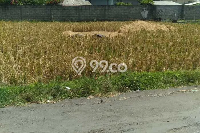 LAND FOR RENT! Tanah Kawasan Denpasar Timur, Luas 500m2m², Akses Mainroad LAND FOR RENT! Tanah Kawasan Denpasar Timur, Luas 500m2m², Akses Mainroad