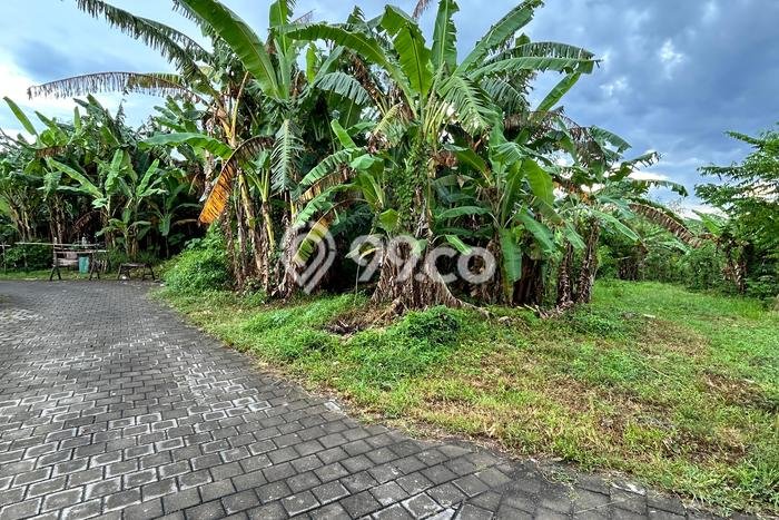 Lahan untuk Dijual Lokasi Tabanan, Tabanan Luas 560m2 SHM Lahan untuk Dijual Lokasi Tabanan, Tabanan Luas 560m2 SHM