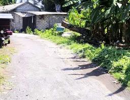 Jual Tanah Lokasi Prima di Denpasar Timur, Luas 11671m2m², Akses Denpasar Timur, Denpasar, Denpasar Jual Tanah Lokasi Prima di Denpasar Timur, Luas 11671m2m², Akses Denpasar Timur, Denpasar, Denpasar