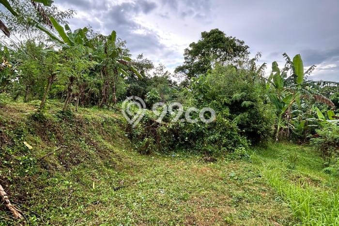 Lahan untuk Dijual Lokasi Tabanan, Tabanan Luas 560m2 SHM Lahan untuk Dijual Lokasi Tabanan, Tabanan Luas 560m2 SHM