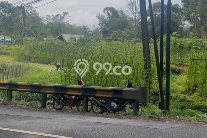 Tanah Dijual Lokasi Cianjur Cianjur SHM Tanah Dijual Lokasi Cianjur Cianjur SHM
