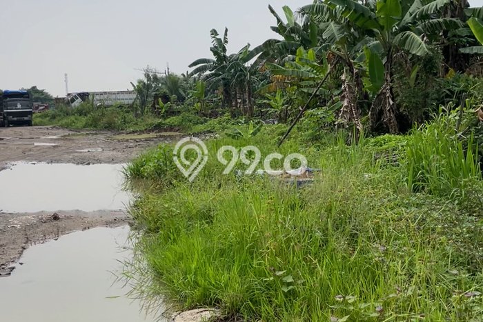 Tanah untuk Dijual di Rangkasbitung Lebak Luas 48000m2 Tanah untuk Dijual di Rangkasbitung Lebak Luas 48000m2