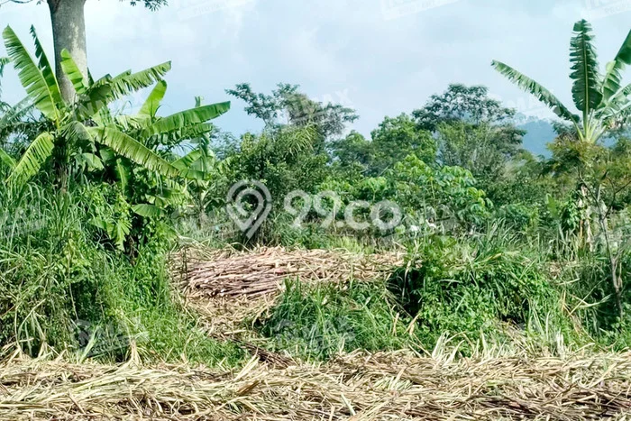 Paling Dicari! Lahan Kosong Disewakan di Wagir, Malang Paling Dicari! Lahan Kosong Disewakan di Wagir, Malang