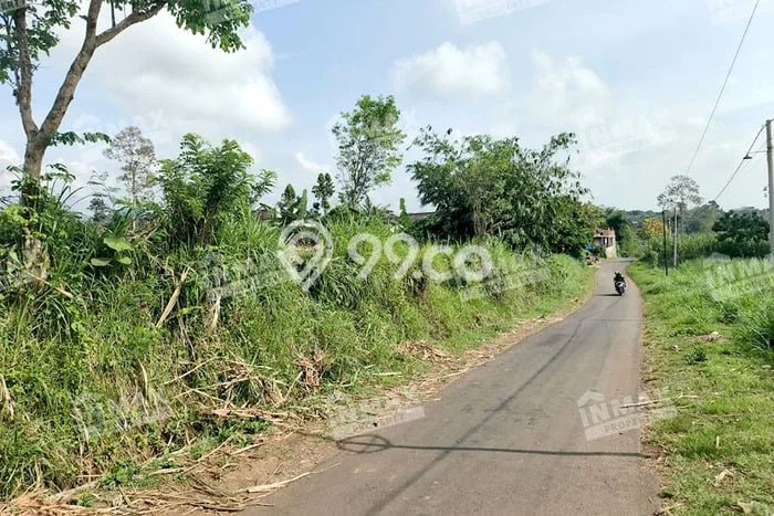 Paling Dicari! Lahan Kosong Disewakan di Wagir, Malang Paling Dicari! Lahan Kosong Disewakan di Wagir, Malang