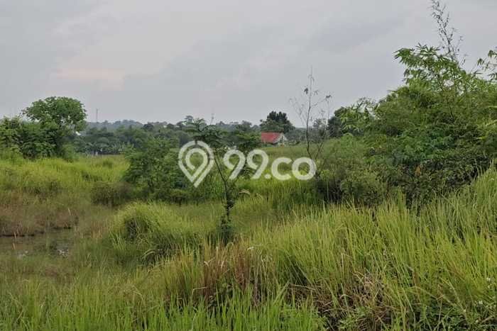 Kavling Tanah di Cisoka Dijual Luas 2680m2 Legalitas - Kavling Tanah di Cisoka Dijual Luas 2680m2 Legalitas -