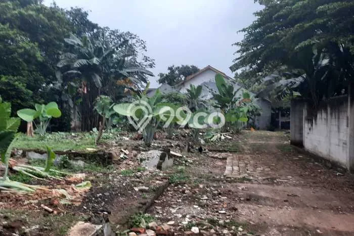 Kavling Tanah Dijual di Cilandak Jakarta Selatan Spesifikasi 3300m2 Kavling Tanah Dijual di Cilandak Jakarta Selatan Spesifikasi 3300m2
