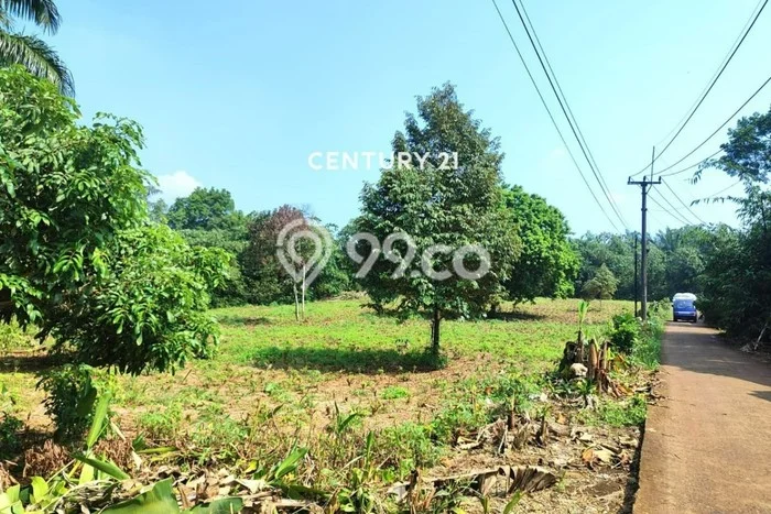 Untuk Dijual Tanah di Ranca Bungur Bogor Luas 3640m2 SHM Untuk Dijual Tanah di Ranca Bungur Bogor Luas 3640m2 SHM