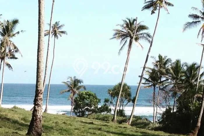 Untuk Dijual Tanah di Tabanan, Luas 18000m2 SHM Untuk Dijual Tanah di Tabanan, Luas 18000m2 SHM