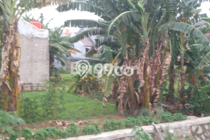 Tanah di Babelan, Bekasi Luas 125m2 Dijual Segera Tanah di Babelan, Bekasi Luas 125m2 Dijual Segera