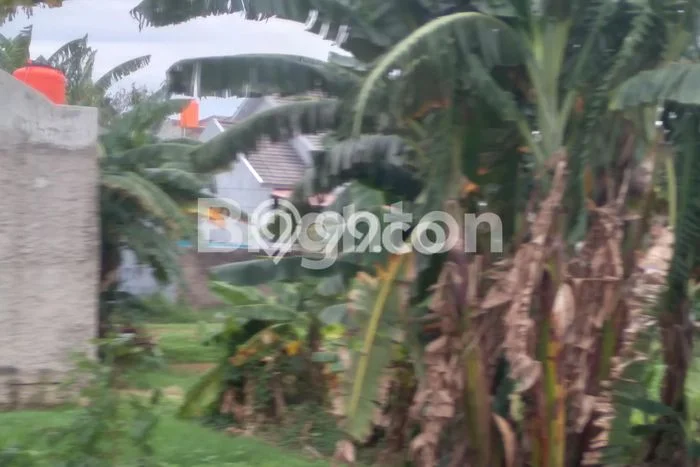 Tanah di Babelan, Bekasi Luas 125m2 Dijual Segera Tanah di Babelan, Bekasi Luas 125m2 Dijual Segera