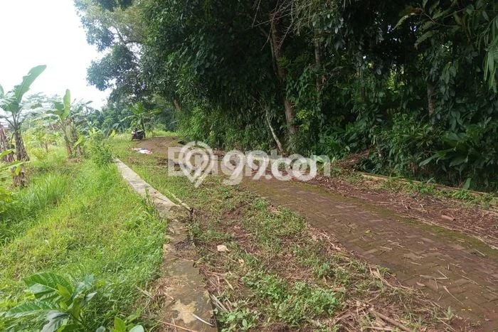 Tanah untuk Dijual di Gunung Pati Semarang Luas 1200m2 Tanah untuk Dijual di Gunung Pati Semarang Luas 1200m2