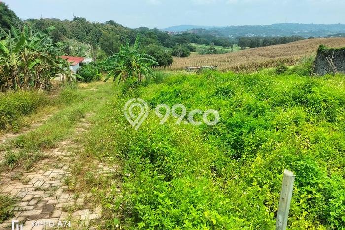 Jarang Ada! Tanah di Ngaliyan Punya Luas 758m2 SHM Jarang Ada! Tanah di Ngaliyan Punya Luas 758m2 SHM