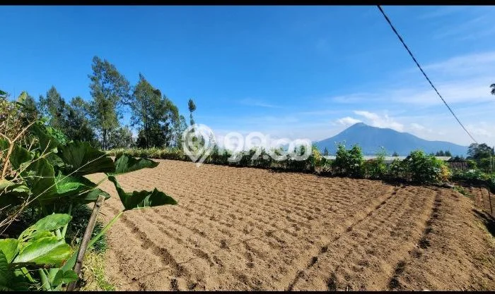 Tanah Investasi Dijual di Salatiga Punya Luas 2000m2 Tanah Investasi Dijual di Salatiga Punya Luas 2000m2