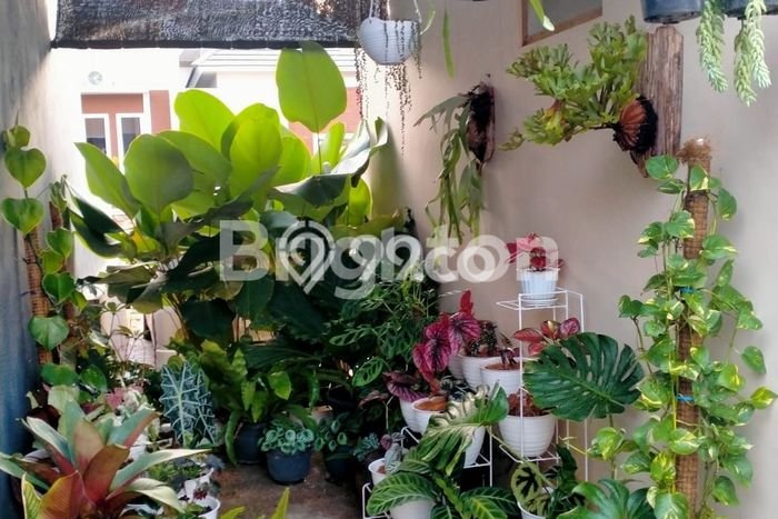 Jual Rumah Favorit Siap Huni LB 43m2 di Mijen, Semarang Jual Rumah Favorit Siap Huni LB 43m2 di Mijen, Semarang