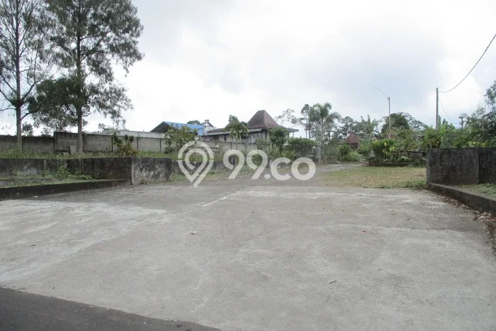 Tanah Kavling Dijual di Catur, Bangli dengan Luas Tanah 10350m2 Tanah Kavling Dijual di Catur, Bangli dengan Luas Tanah 10350m2