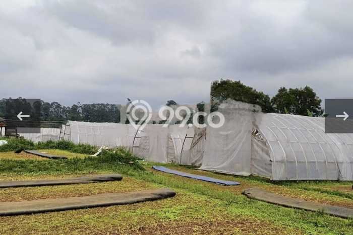 Tanah Strategis Dijual di Ciwidey Bandung 6400m2 Tanah Strategis Dijual di Ciwidey Bandung 6400m2