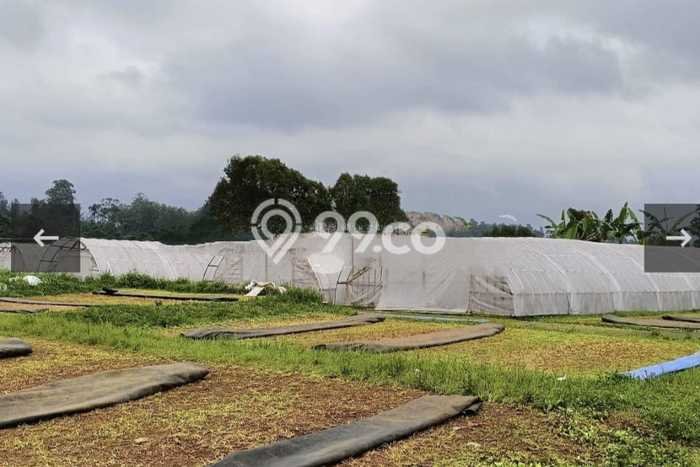 Tanah Strategis Dijual di Ciwidey Bandung 6400m2 Tanah Strategis Dijual di Ciwidey Bandung 6400m2