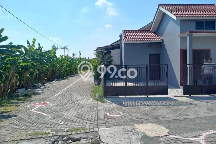 Jual Rumah Siap Huni di Pedurungan Semarang Harga Rp 480 Juta LT 87m2 Jual Rumah Siap Huni di Pedurungan Semarang Harga Rp 480 Juta LT 87m2