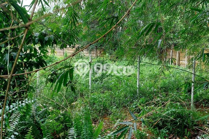 Tanah Dijual Lokasi Payung Sekaki Pekanbaru SHM Tanah Dijual Lokasi Payung Sekaki Pekanbaru SHM