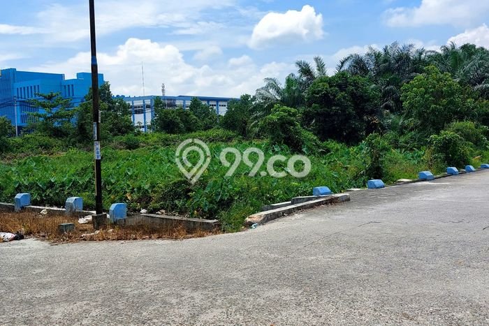 Jarang Ada! Tanah di Payung Sekaki Punya Luas 880m2 SHM Jarang Ada! Tanah di Payung Sekaki Punya Luas 880m2 SHM