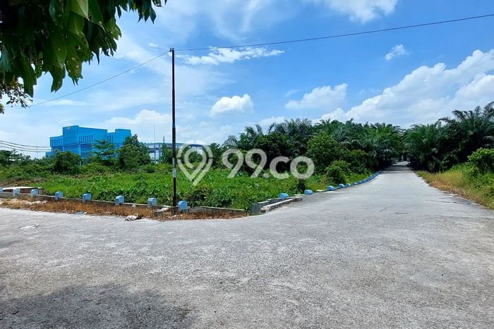 Kavling Tanah di Payung Sekaki Dijual Luas 880m2 Legalitas SHM Kavling Tanah di Payung Sekaki Dijual Luas 880m2 Legalitas SHM